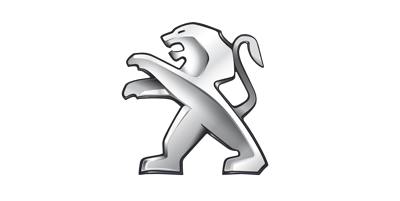 Чехол для Peugeot